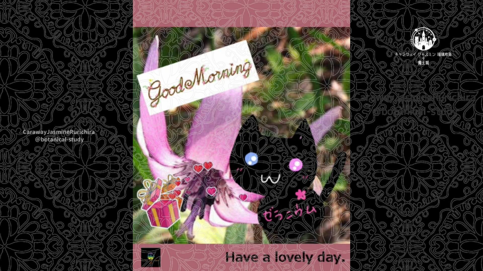 近日公開予定by Cジャスミン瑠璃地楽 | botanical-study.com