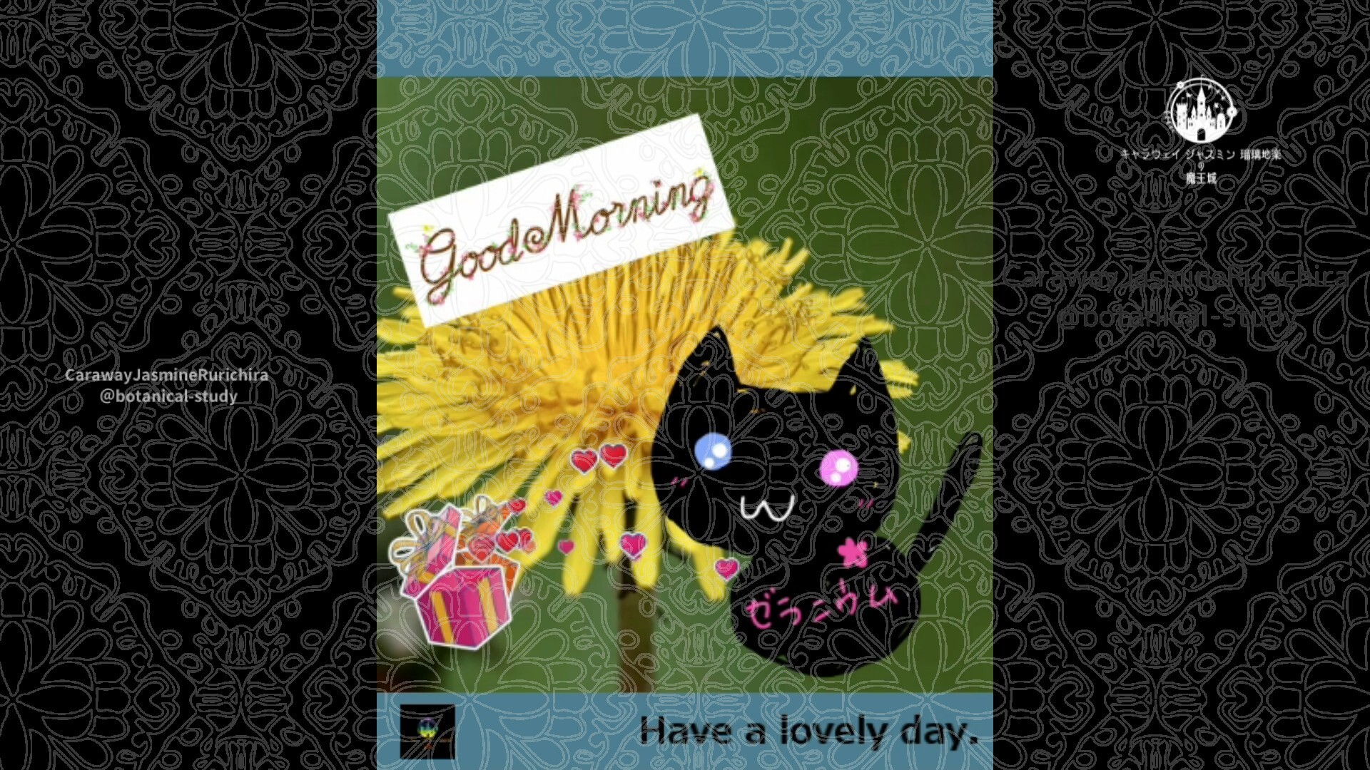 近日公開予定by Cジャスミン瑠璃地楽 | botanical-study.com 近日公開予定by Cジャスミン瑠璃地楽 | botanical-study.com