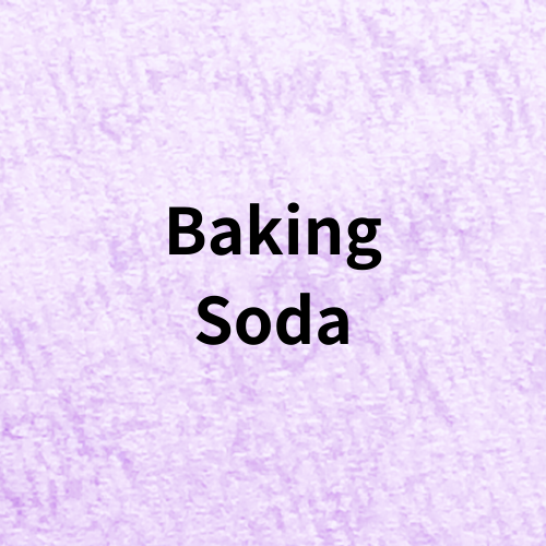 プチ辞典クイズ準備中＠botanical-study.com