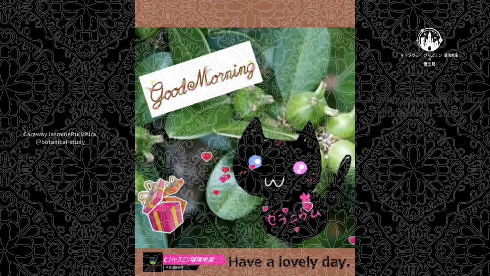 3月28日誕生花ツゲby Cジャスミン瑠璃地楽 | botanical-study.com