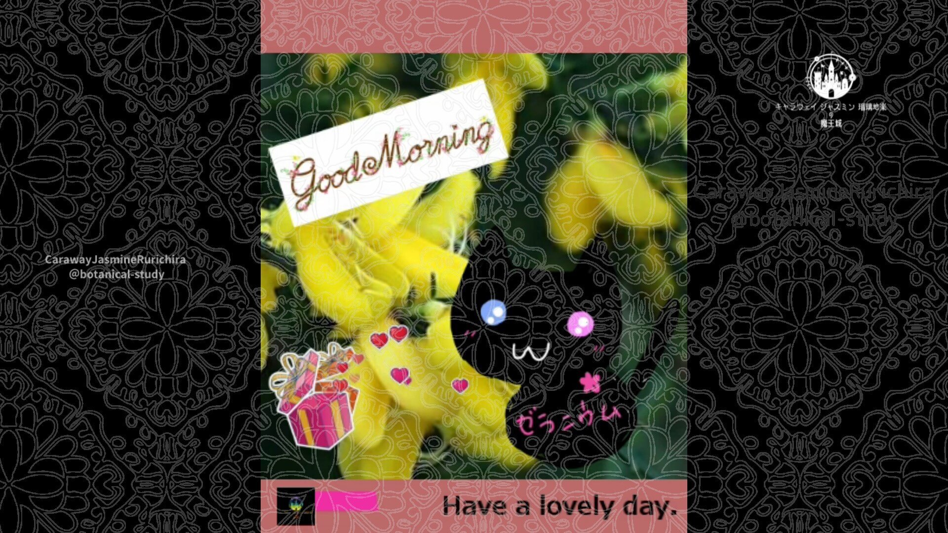 3月30日誕生花エニシダby Cジャスミン瑠璃地楽 | botanical-study.com