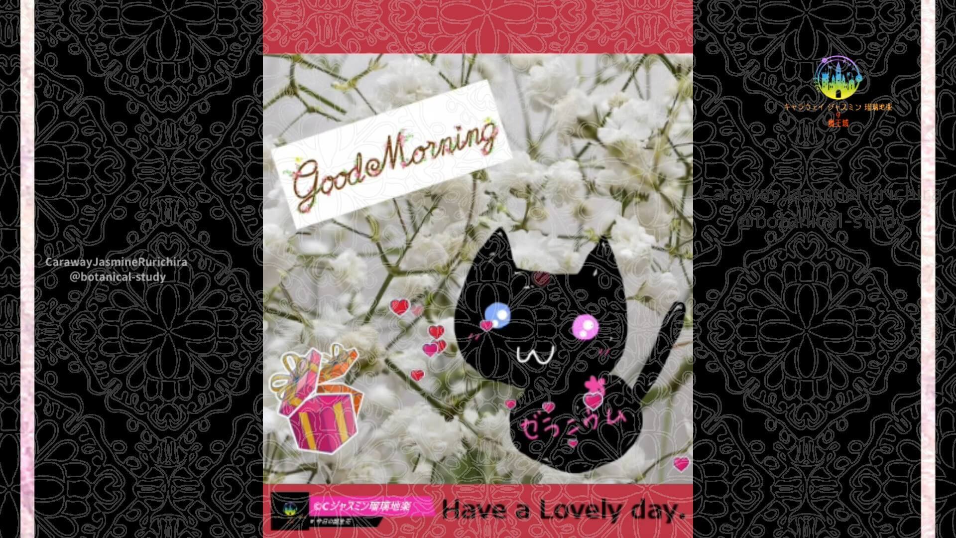 4月4日誕生花カスミソウ白by Cジャスミン瑠璃地楽 | botanical-study.com