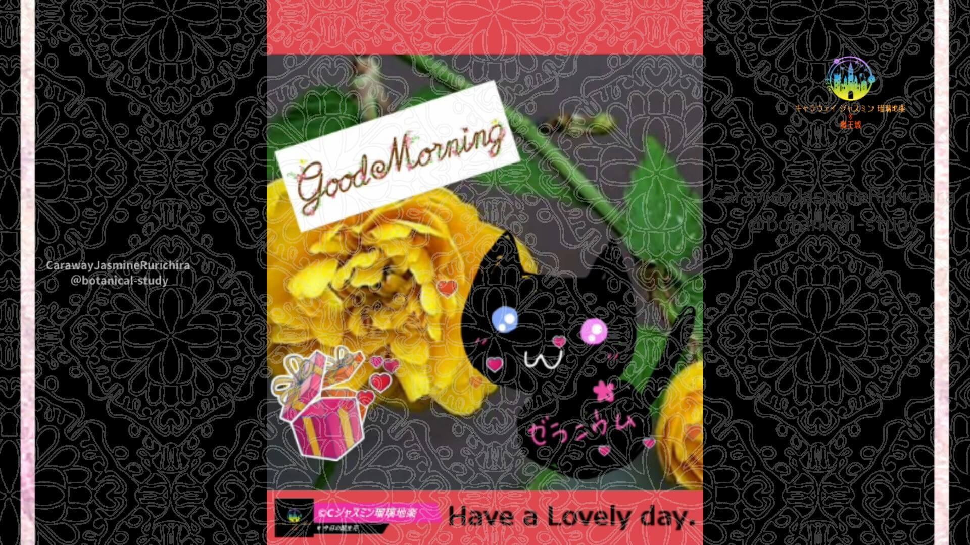 4月6日誕生花キンセンカby Cジャスミン瑠璃地楽 | botanical-study.com