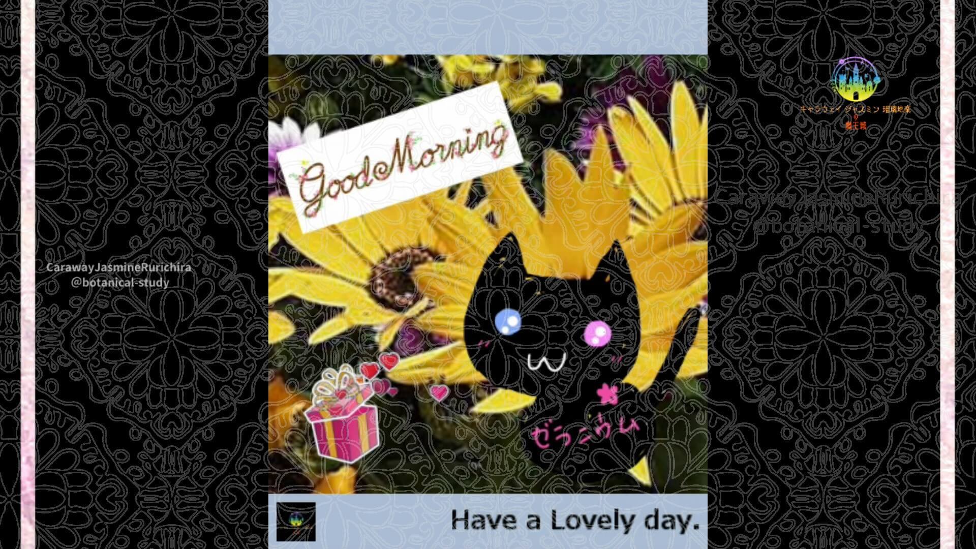 4月７日誕生花ディモルフォセカby Cジャスミン瑠璃地楽 | botanical-study.com