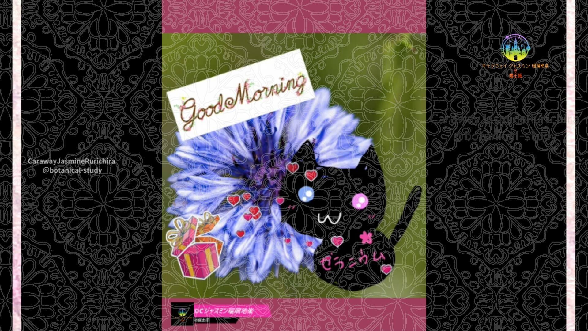 4月11日誕生花ヤグルマギクby Cジャスミン瑠璃地楽 | botanical-study.com