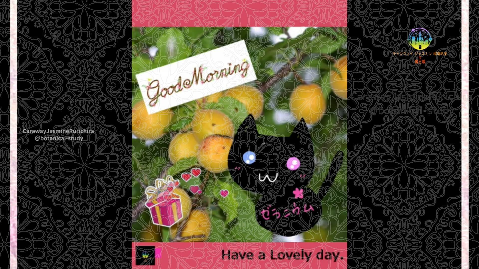 4月12日誕生花アンズby Cジャスミン瑠璃地楽 | botanical-study.com