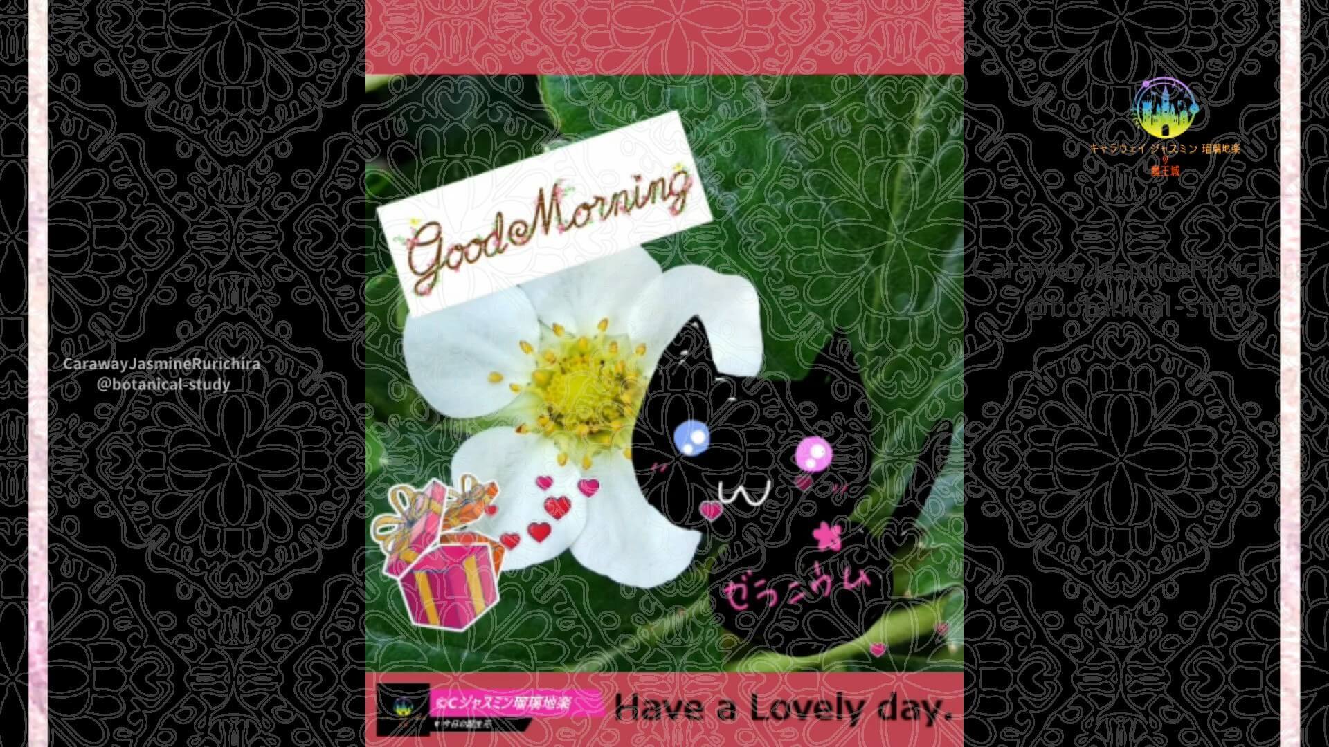 4月13日誕生花イチゴby Cジャスミン瑠璃地楽 | botanical-study.com